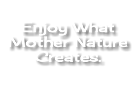  Enjoy What Mother Nature Creates.